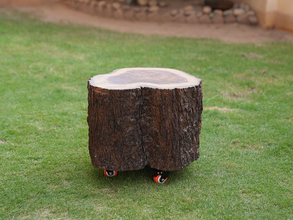 Tree Trunk Side Table On Wheels