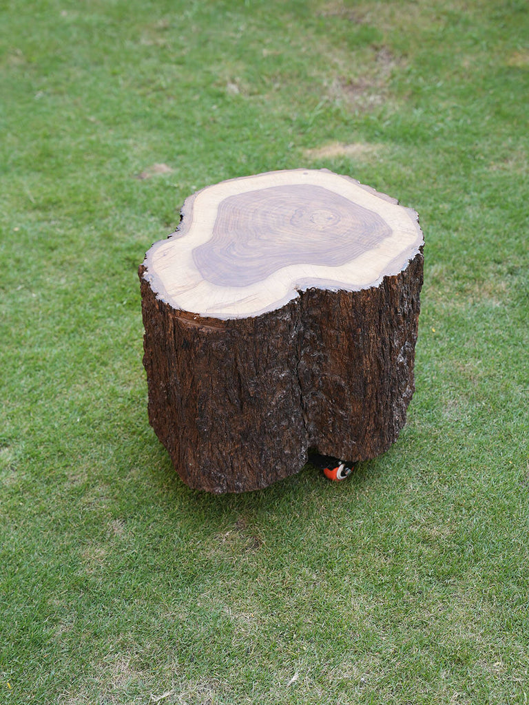 Tree Trunk Side Table On Wheels